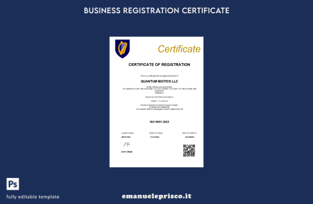Certificato di registrazione irlandese in stile verificato Modello Word e PDF